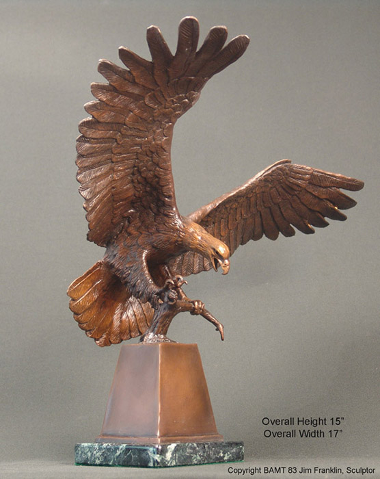 Spirit Award Bronze Eagle - HBA of Greater Tulsa